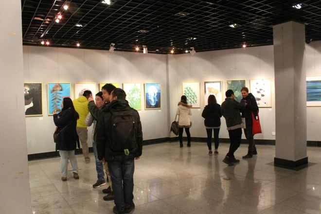 7th United Designs 5