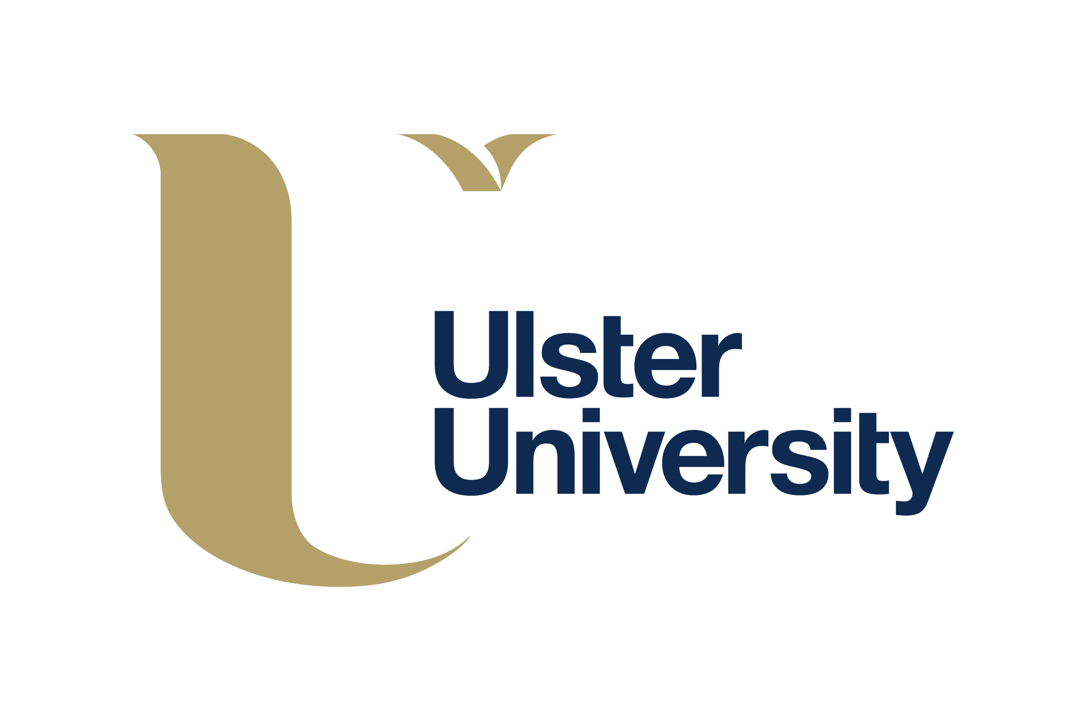 Interview on Ulster University