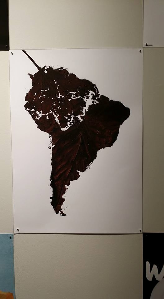 occupy whats next usa 4