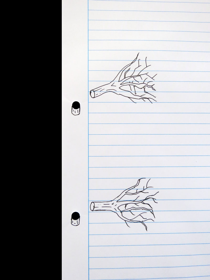Tree Cut Paper